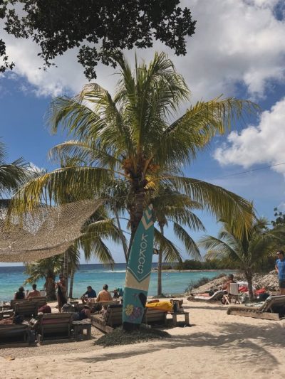 Chogogo Dive & Beach Resort Curacao в январе — фото погоды (2026-01-29)