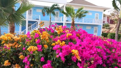 Chogogo Dive & Beach Resort Curacao в марте — фото погоды (2026-03-19)