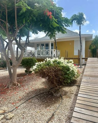 Chogogo Dive & Beach Resort Curacao в июне — фото погоды (2026-06-27)