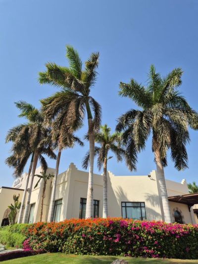 Stella Makadi Gardens в ноябре — фото погоды (2025-11-25)