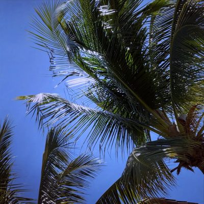 Playa Del Coco, Costa Rica в январе — фото погоды (2026-01-28)