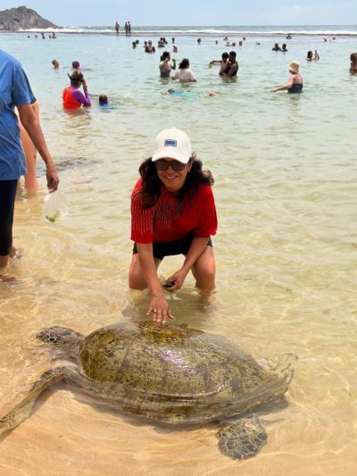 Turtle Beach в феврале — фото погоды (2026-02-22)