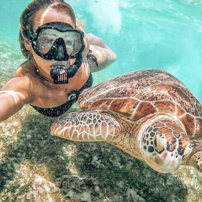 Turtle Beach в феврале — фото погоды (2026-02-25)