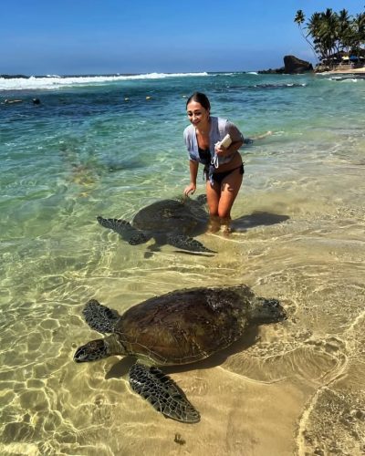 Turtle Beach в феврале — фото погоды (2026-02-26)