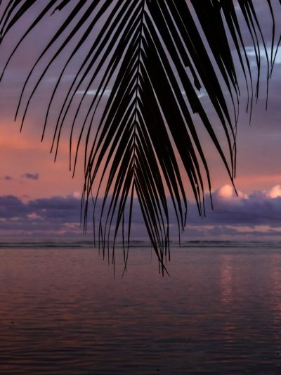 Meedhoo, Addu City, Maldives в апреле — фото погоды (2026-04-23)