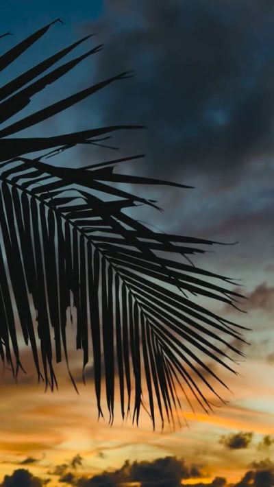 Meedhoo, Addu City, Maldives в июне — фото погоды (2026-06-11)