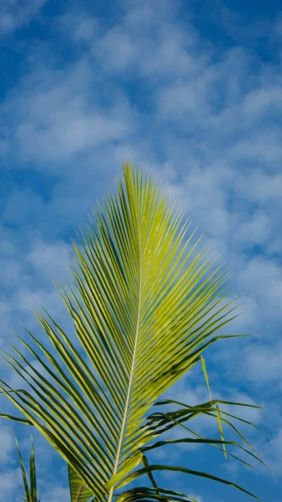 Meedhoo, Addu City, Maldives в июле — фото погоды (2026-07-10)