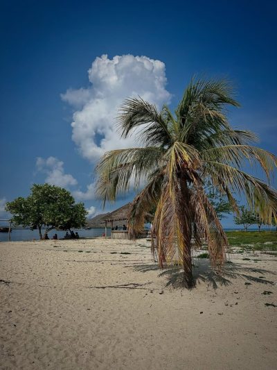 Kanawa Island в июле — фото погоды (2026-07-14)