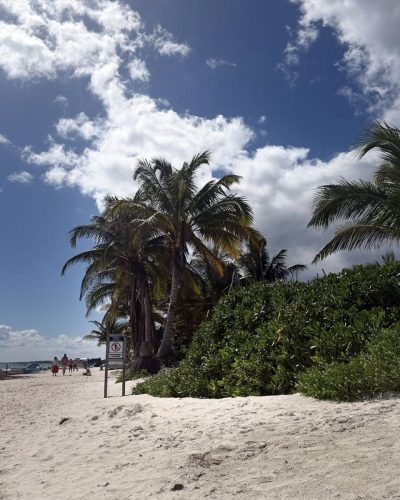 Playa Paraiso, Tulum в январе — фото погоды (2026-01-29)