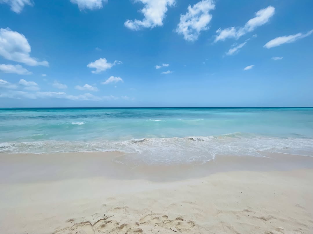 Погода в Playa Dominicus