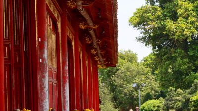Elephant Travel in Vietnam в апреле — фото погоды (2024-04-21)