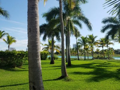 Wyndham Grand Playa Blanca Resort — фото погоды в августе (2022-08-28)