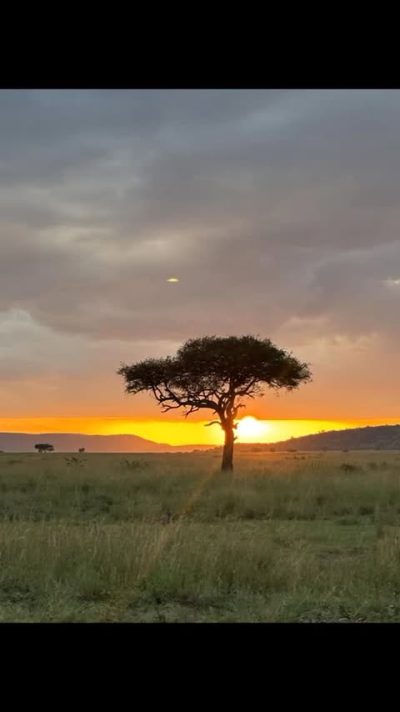 Seronera, Serengeti в июне — фото погоды (2026-06-09)