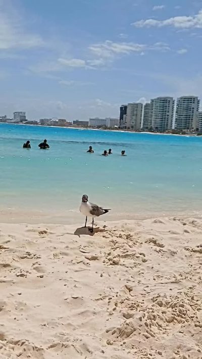 Playa Forum, cancun в апреле — фото погоды (2026-04-20)