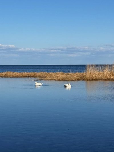 Морское в апреле — фото погоды (2026-04-15)