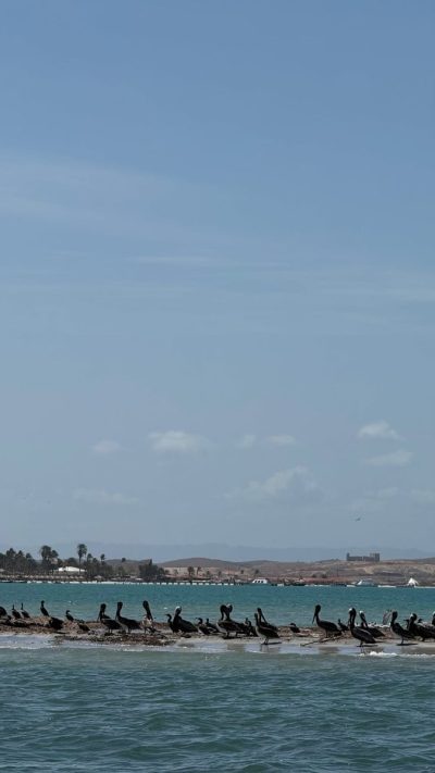 Punta Blanca в мае — фото погоды (2026-05-13)