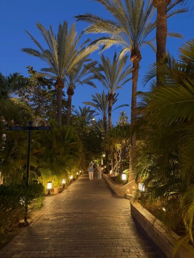 Maspalomas Meloneras в июне — фото погоды (2026-06-16)