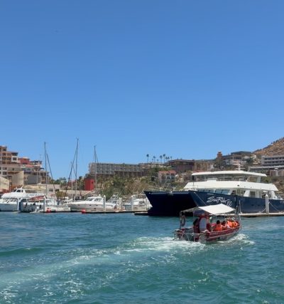 Cabo San Lucas, Mexico в июне — фото погоды (2026-06-11)