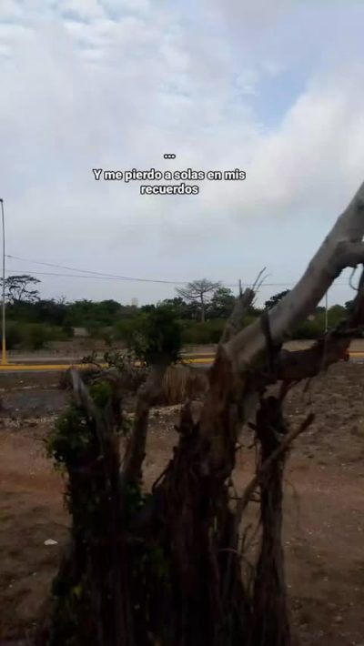 Isla Margarita, La Perla Del Caribe. Venezuela в июне — фото погоды (2026-06-07)