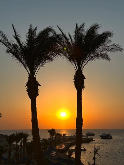 Beach Albatros Hotel  Hurghada — фото погоды в августе (2025-08-31)