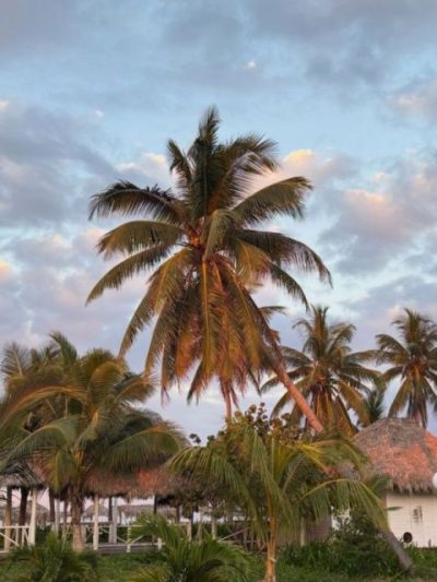 Cayo Coco, Cuba в марте — фото погоды (2026-03-01)