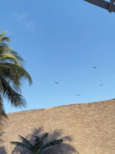Cayo Coco, Cuba в июле — фото погоды (2026-07-05)