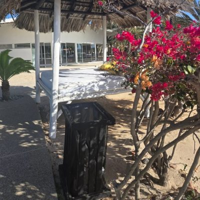 Isla De Coche - "Playa" - Venezuela в феврале — фото погоды (2025-02-19)
