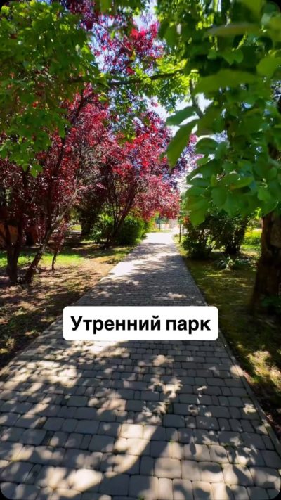 Парк культуры и отдыха в июне — фото погоды (2026-06-25)