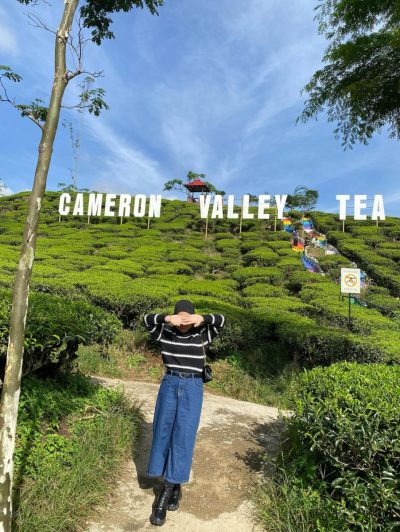 Cameron Valley Tea в октябре — фото погоды (2025-10-16)
