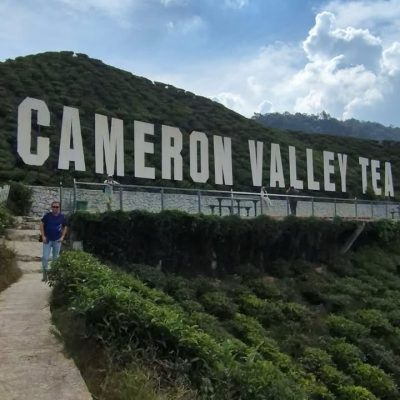 Cameron Valley Tea в декабре — фото погоды (2025-12-02)