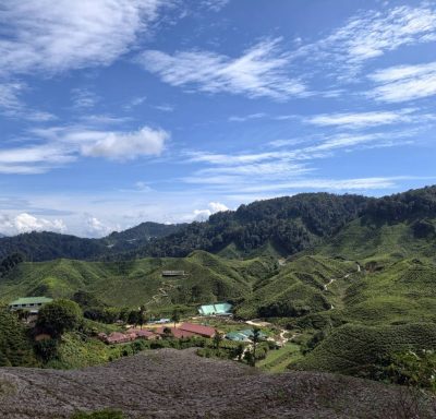 Cameron Valley Tea в феврале — фото погоды (2026-02-22)
