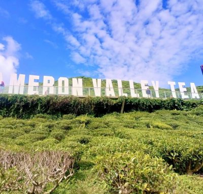 Cameron Valley Tea в июне — фото погоды (2026-06-22)