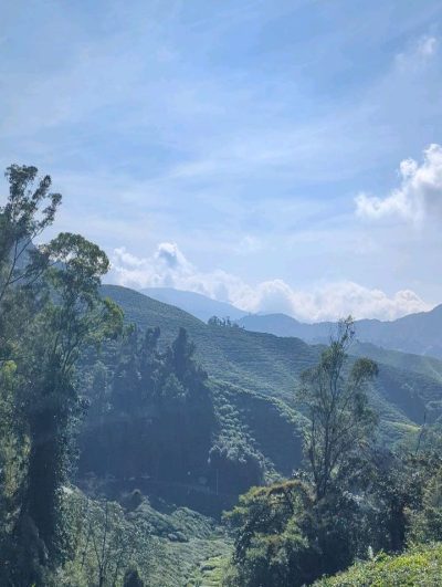 Cameron Valley Tea в июне — фото погоды (2026-06-27)