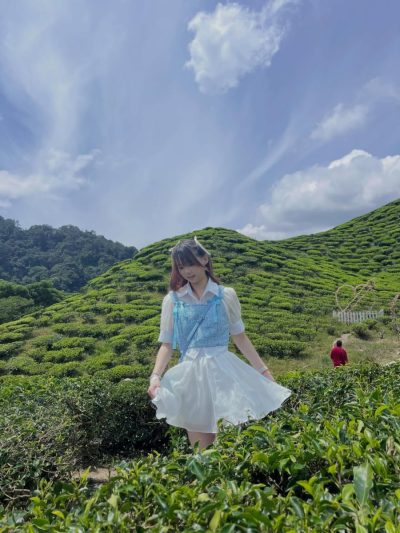 Cameron Valley Tea в июле — фото погоды (2026-07-17)