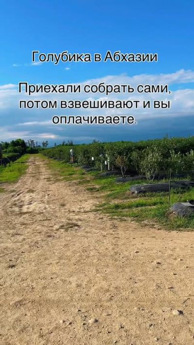 Мокко Бич в июле — фото погоды (2026-07-18)