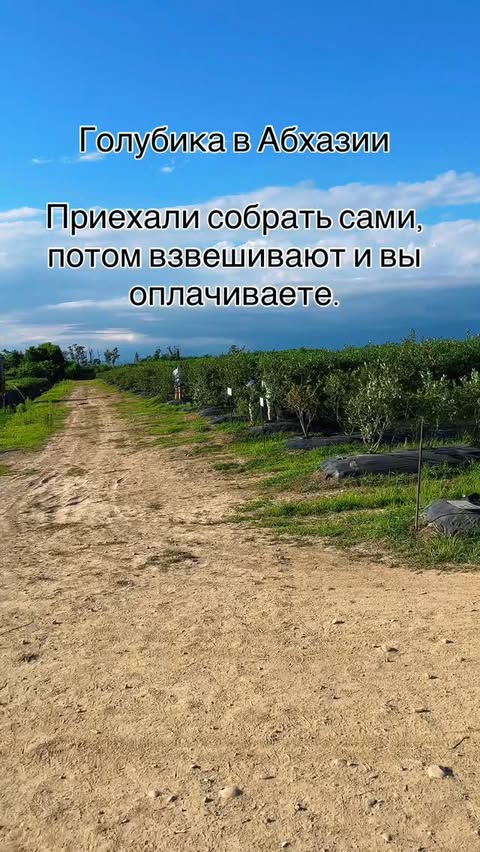 Погода в Мокко Бич