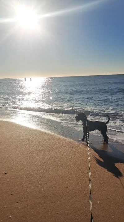 Praia De Albufeira (Albufeira Beach) в ноябре — фото погоды (2025-11-27)
