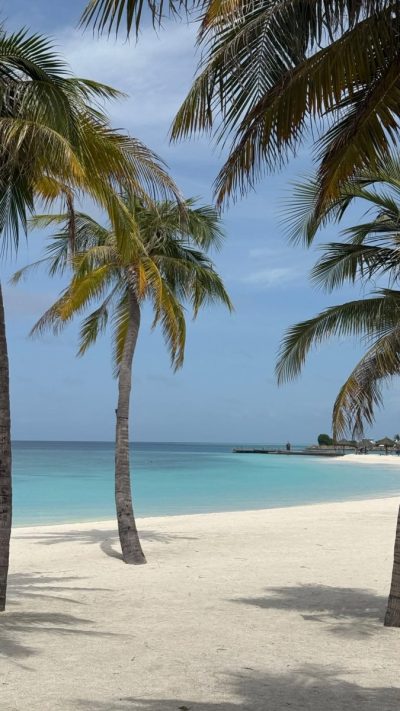 Veligandu Maldives Resort Island — фото погоды в июне (2026-06-27)