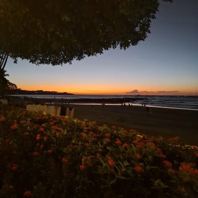 Hotel Tamarindo Diria — фото погоды в декабре (2025-12-31)