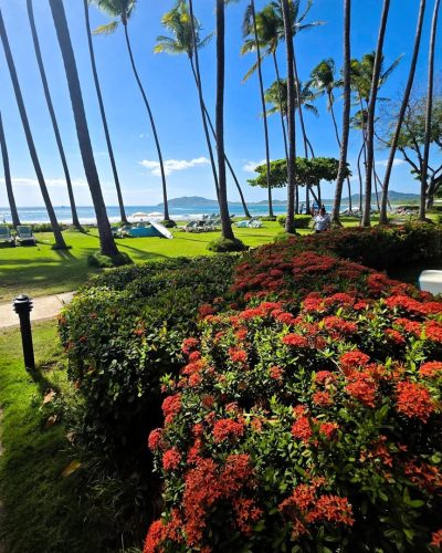 Hotel Tamarindo Diria — фото погоды в июне (2026-06-30)