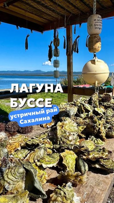 Озеро Буссе в августе — фото погоды (2025-08-05)