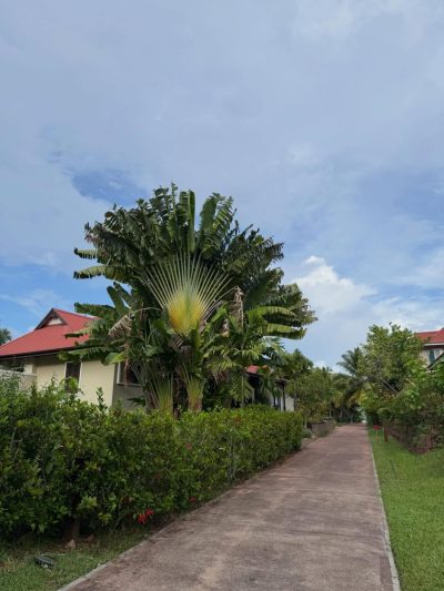 Eden Island, Seychelles (Official Fan Page) в декабре — фото погоды (2025-12-21)