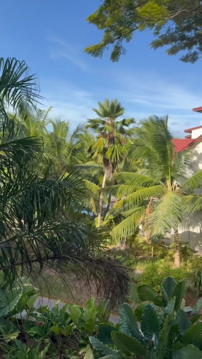 Eden Island, Seychelles (Official Fan Page) в июле — фото погоды (2026-07-12)