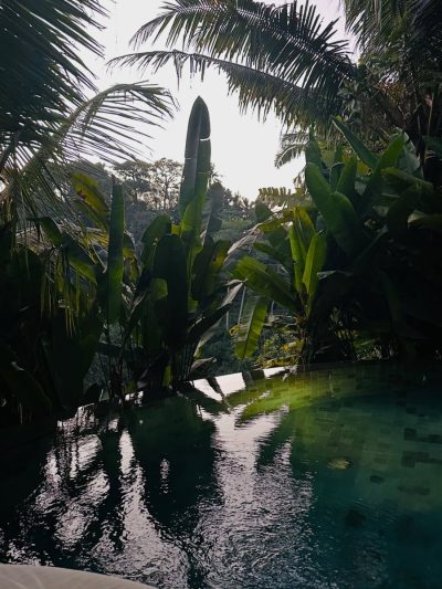 TanaDewa Resort Ubud Bali by Cross Collection — фото погоды в ноябре (2025-11-22)