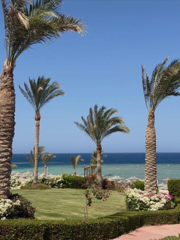 Погода в Fantazia Resort Marsa Alam
