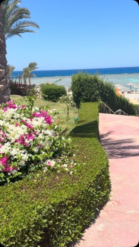Погода в Fantazia Resort Marsa Alam