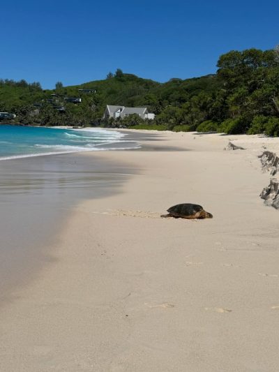 Anse Intendance, Mahé, Seychelles в ноябре — фото погоды (2025-11-29)