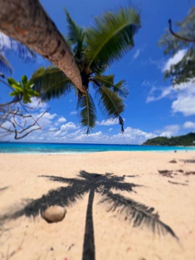 Anse Intendance, Mahé, Seychelles в мае — фото погоды (2026-05-03)