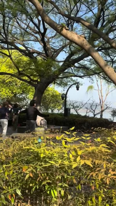 Hangzhou's West Lake в апреле — фото погоды (2026-04-02)