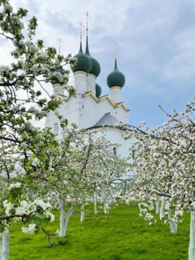 Ростовский кремль (музей-заповедник) в мае — фото погоды (2026-05-15)